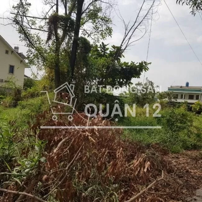 Cần bán 800 m2 đất 2 MT đường Vườn Lài - An Phú Đông - Quận 12