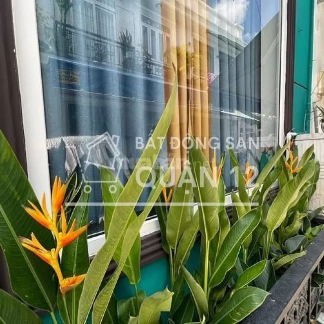 750tr Khu dân cư cao cấp nổi tiếng Khang Thịnh, TX 52