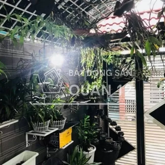 Nhà mặt tiền, đường Võ Thị Thừa, An Phú Đông, Q12.81m2, giá 6.45 tỷ 