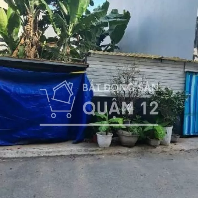 Đất 8x13m đường xe hơi 1/TX22 Q12.