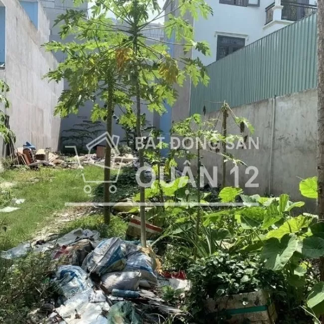 Bán gấp đất thổ cư chỉ 37tr/m2 HXT an phú đông Quận 12 giá 3.75 tỷ