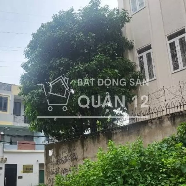 Bán đất chính chủ quận 12, đường vườn lài 