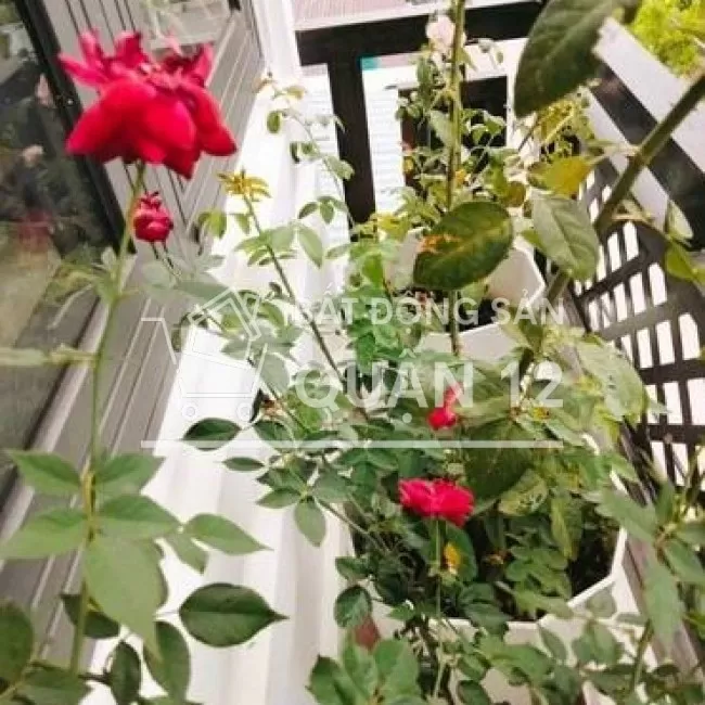 Nhà 4 tầng, đường  8m, xe hơi để trong nhà ,view kênh đẹp thoáng mát,