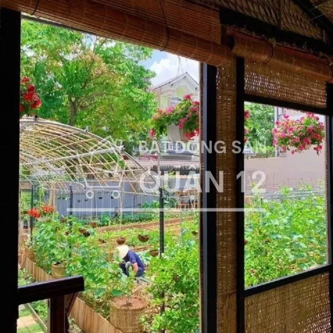 Biệt thự sân vườn 500m2 đất ở, ngay Ngã Tư Ga - Quận 12, 18 tỷ, HH1%