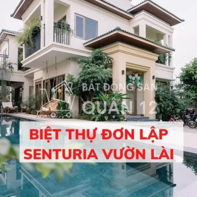 Tâm Huyết Chỉnh Chu Nội Thất Nhập Rạp Phim 4k Hồ Bơi Sân Vườn Cá Koi 