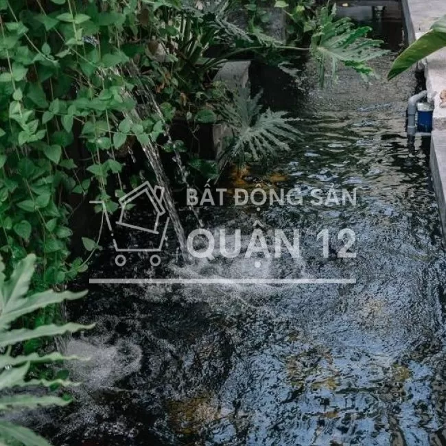 Tâm Huyết Chỉnh Chu Nội Thất Nhập Rạp Phim 4k Hồ Bơi Sân Vườn Cá Koi 