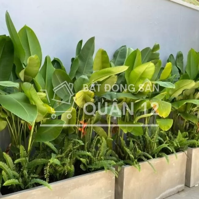 Villa mini trong khu biệt thự Vạn Xuân Tx38