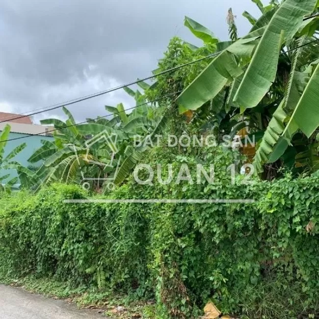 Bán đất 2MT Vườn Lài ,APĐ (5,6x20m) Gía 5,3 tỷ, kế bên Đại Học NTThành