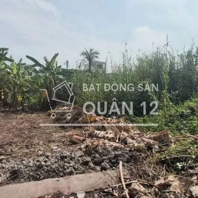 Bán 1 số lô đất hẻm xe hơi đường Vườn Lài, phường An Phú Đông, q12.