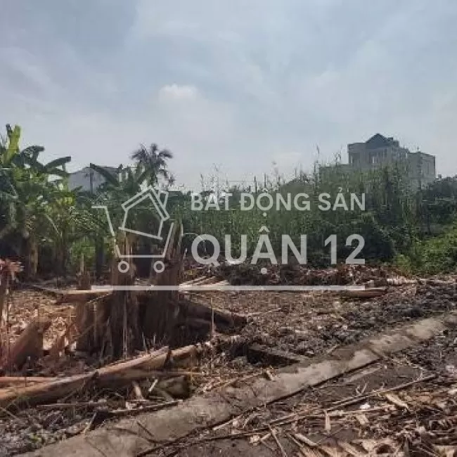 Bán 1 số lô đất hẻm xe hơi đường Vườn Lài, phường An Phú Đông, q12.