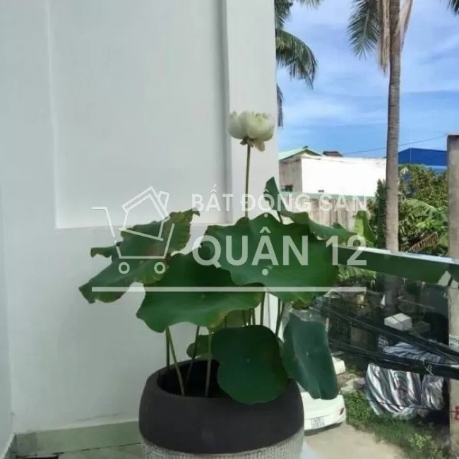 Nhà phố siêu rộng HXH ngay trục H.H.GIÁP 1 trệt 1 lầu 3PN 3WC 