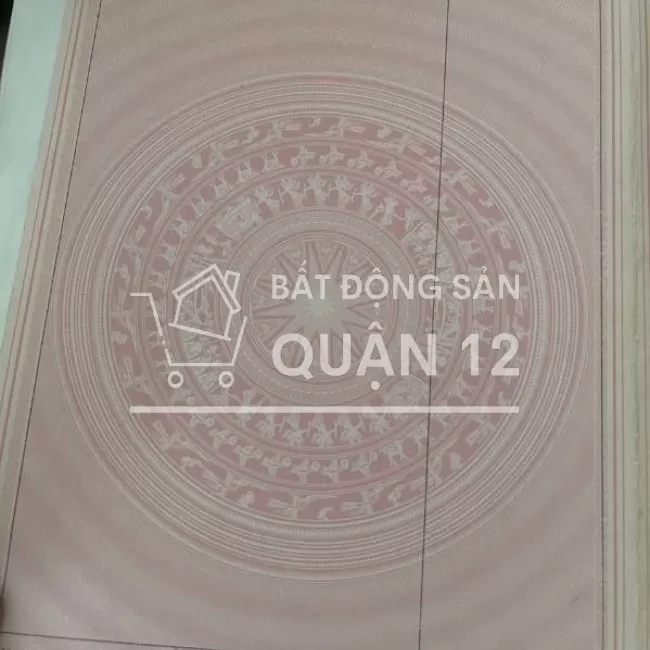 Bán nhà 1 xẹt Lâm Thị Hố hẻm thông nhựa 6m, Quận 12