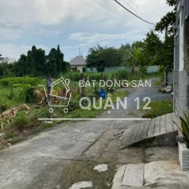 TX38,SHR4x20.HXH thông,trệt,lầu,sân thượng,giếng trời cực thoáng 