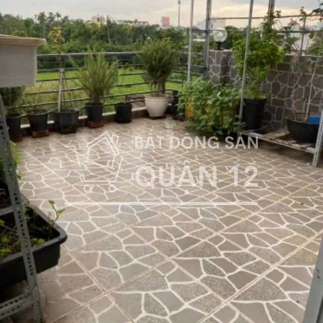 TX38,SHR4x20.HXH thông,trệt,lầu,sân thượng,giếng trời cực thoáng 