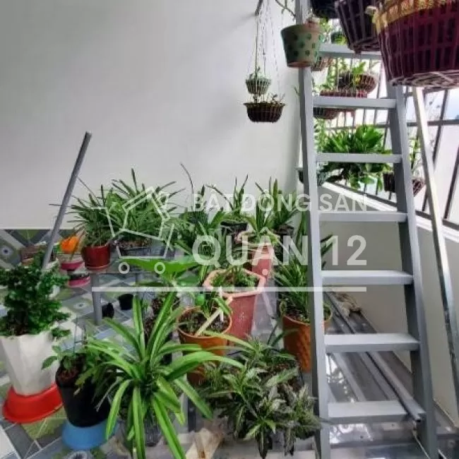 Biệt thự Mặt tiền Trần Thị Hè - Ngang 6x20 - 4T BTCT MỚI - CHỈ 12,5 TỶ