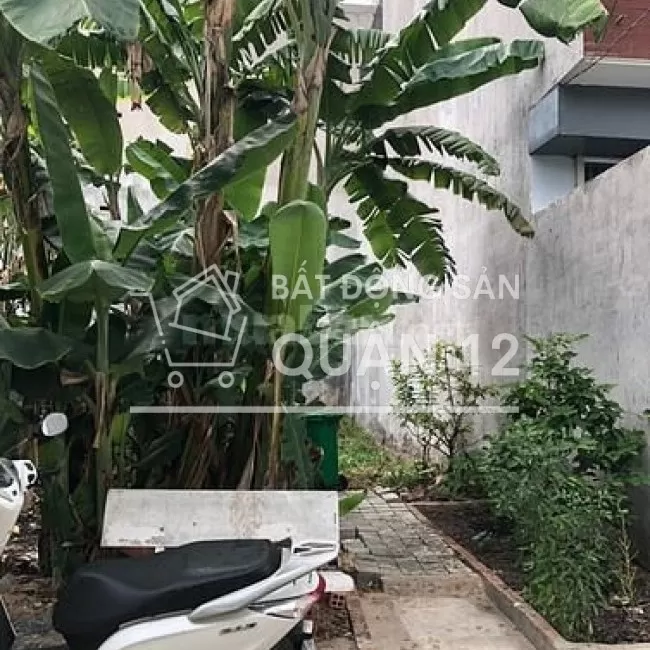 Bán lô đất Vườn Lài, phường an phú đông, quận 12, dt 8x21m=169m2