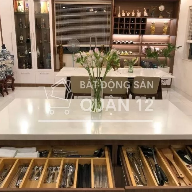 Bán Biệt thự song lập - Diện tích ngang 10m sâu 20m.tặng full nội thất