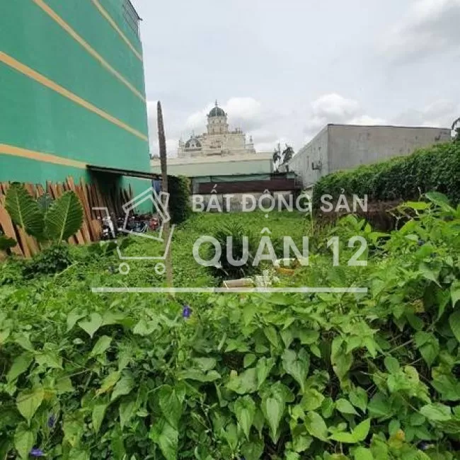 ĐẤT MẶT TIỀN THẠNH LỘC 15, 12 X 30 GIÁ NHỈNH 12 TỶ