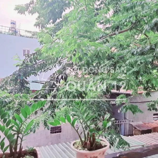 Bán nhà hẻm xe hơi đường Tô Ký Quận 12