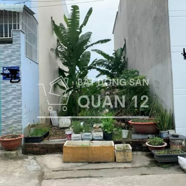 Bán đất 1 sẹc TX33 giá đầu tư 3 tỷ (4x16), P. Thạnh Xuân, Q12, Tp HCM