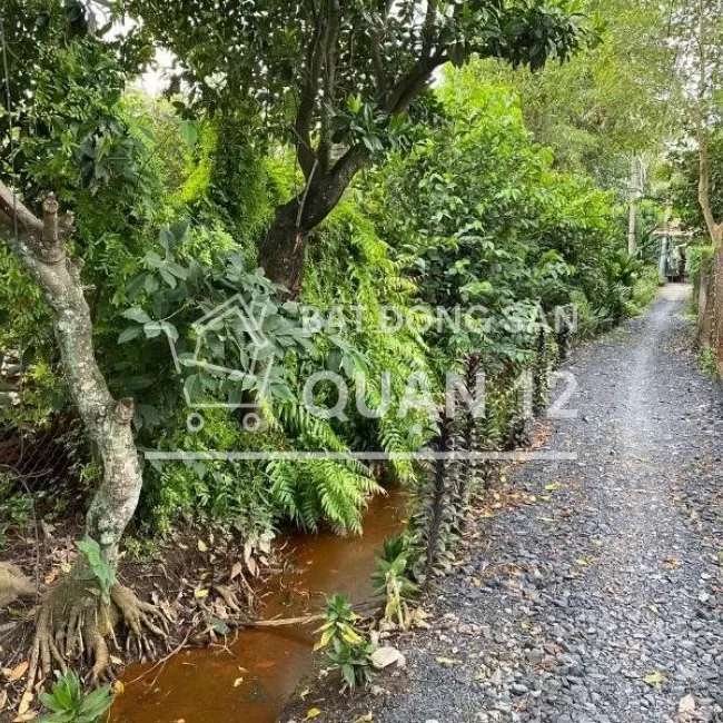 Bán lô đất thổ cư hẻm ba gác 244 Vườn Lài, P.An Phú Đông quận 12