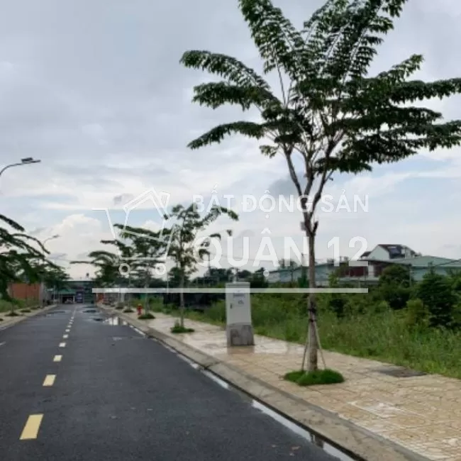Bán đất mặt tiền Vườn Lài, An Phú Đông, Q12 có sổ riêng, full thổ cư.