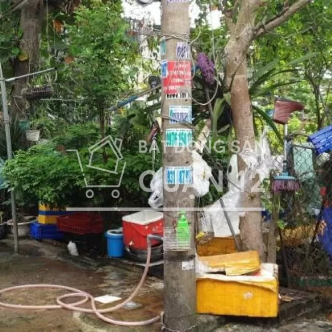 Cục đất Dương Thị Mười rẻ nhất Q12, 340m2, xe tải tận đất chỉ 6.6 tỷ.