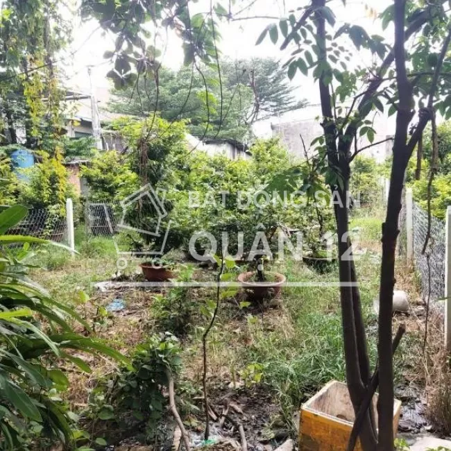 Cục đất Dương Thị Mười rẻ nhất Q12, 340m2, xe tải tận đất chỉ 6.6 tỷ.