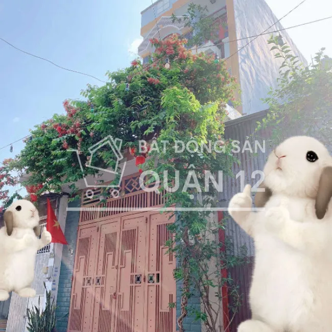 Bán nhà hxh 46m2-3tang Tân Chánh Hiệp 7 Q12 ,gần CF Suối Mơ , giáp Hóc Môn - 4 Tỷ nhỉnh 0932030061